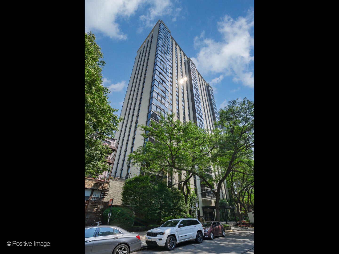 Property Photo:  100 E Bellevue Place 6D  IL 60611 