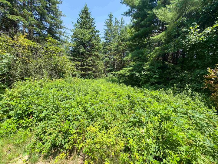 Property Photo: 31 Privacy Lane VT 05824