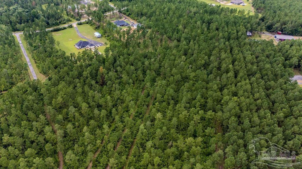 54 Sage Forest Ln  Pace FL 32571 photo
