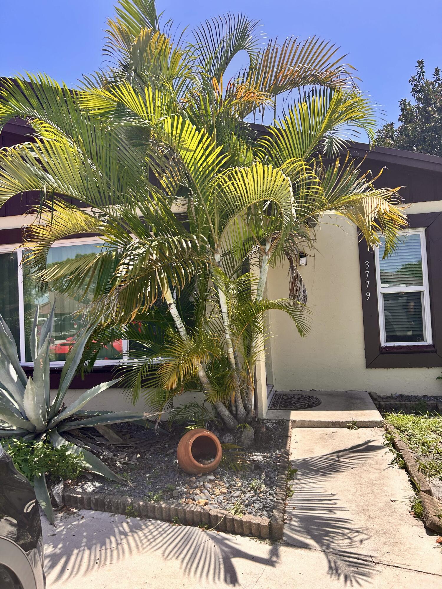 Property Photo: 3779 Mil Pond Court FL 33463