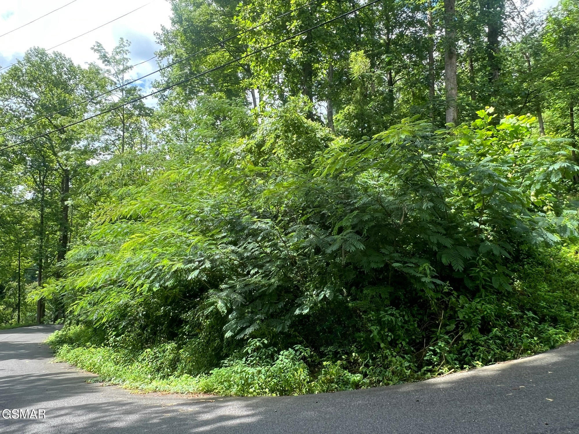 Property Photo: 752 Loop Road TN 37738