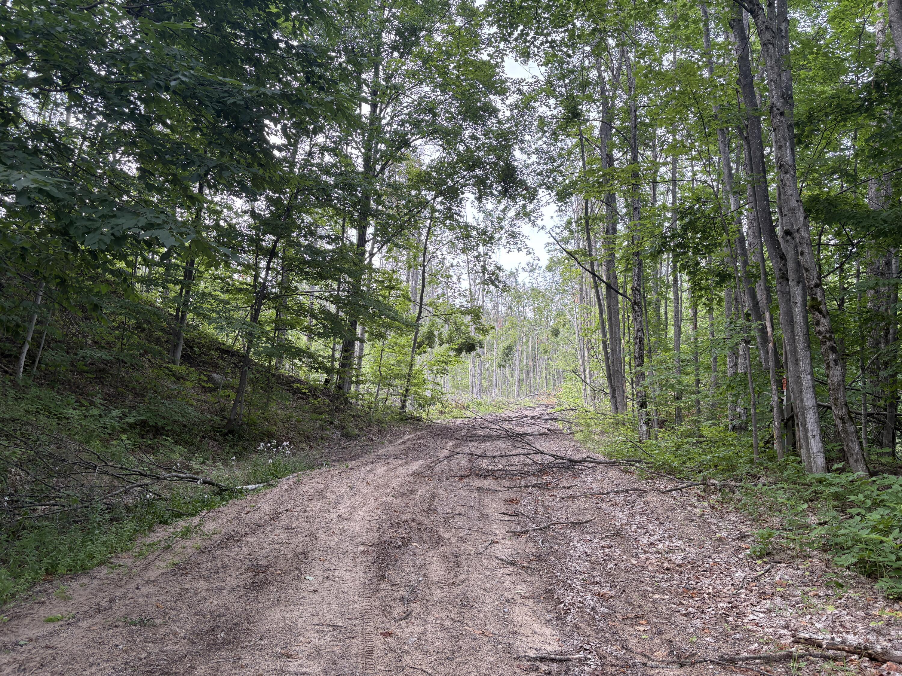 Property Photo:  Mount Jack Road  MI 49730 