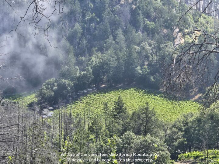 Property Photo:  3880 Spring Mountain Road  CA 94574 