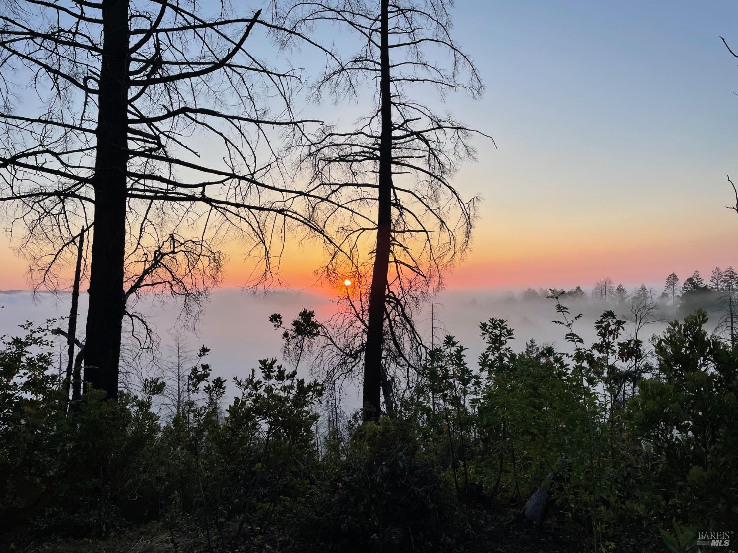 Property Photo: 3880 Spring Mountain Road CA 94574