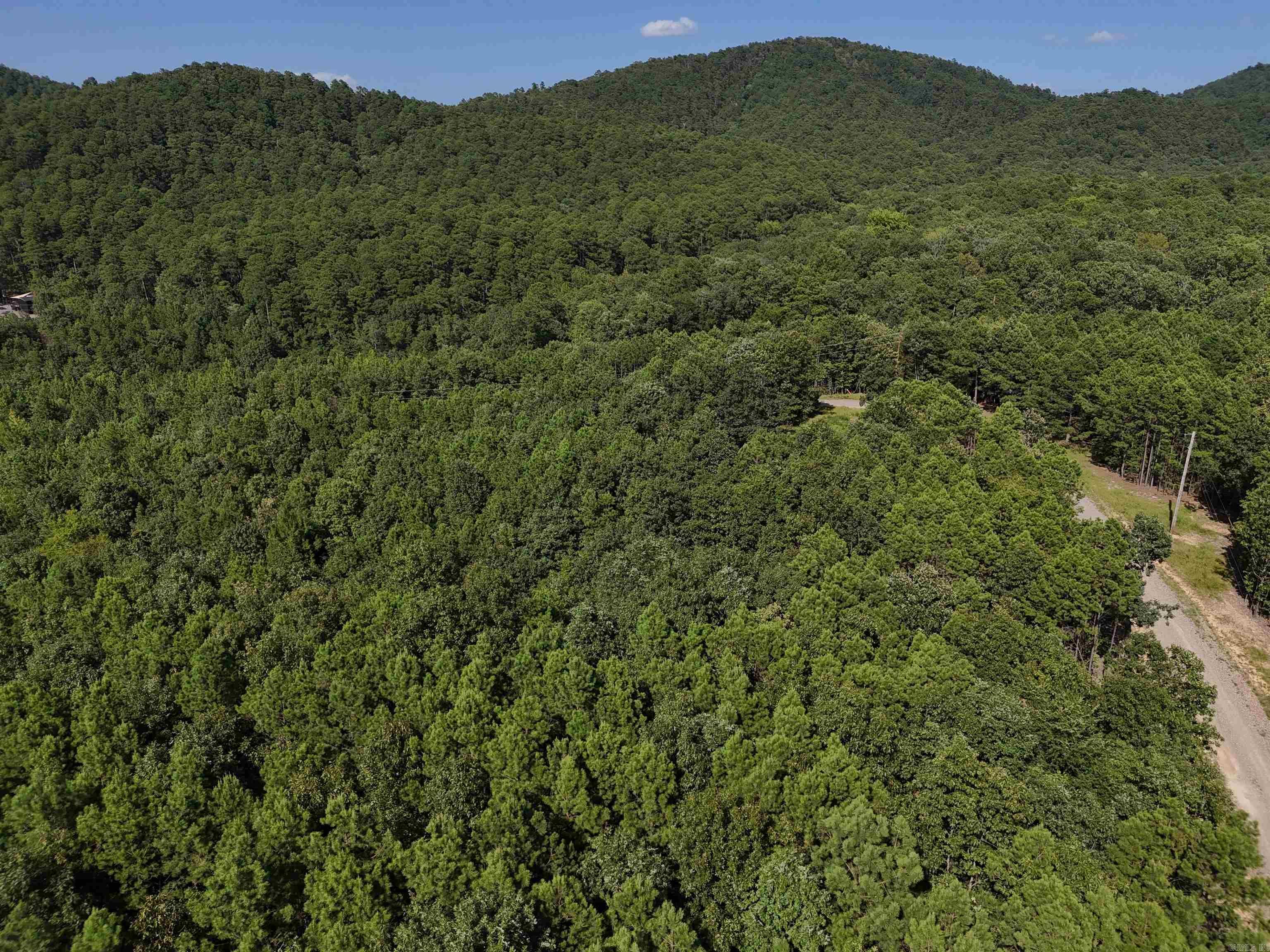 Property Photo:  Lot 12 Polk Road 78  AR 71953 