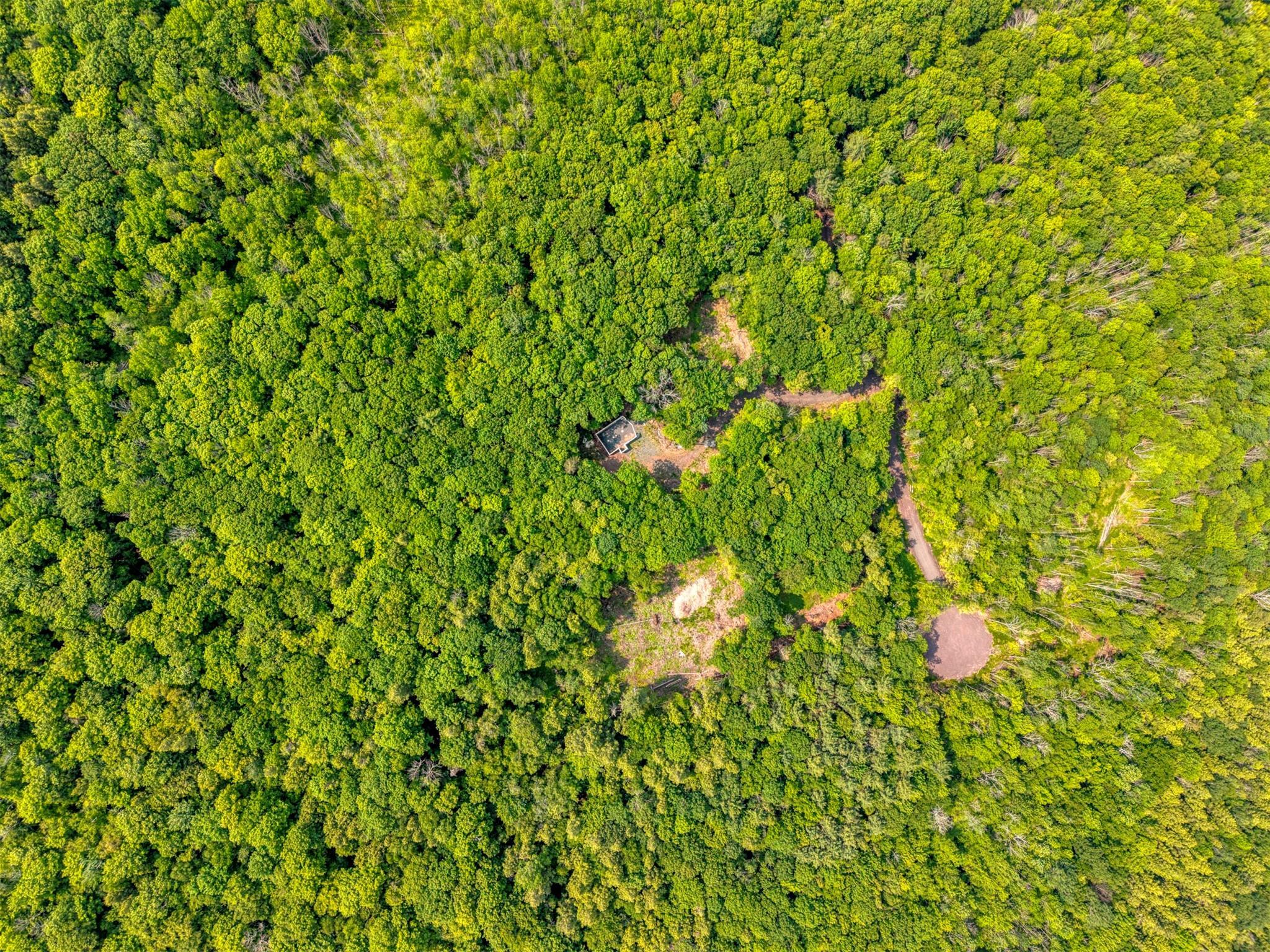 Property Photo: Tbd Boulder Brook Lots 33-38 Road NY 12496