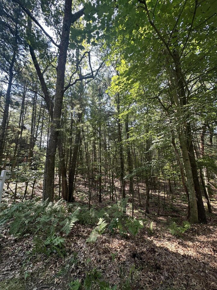 Property Photo:  Lot 105 Crow Lane  MI 49449 