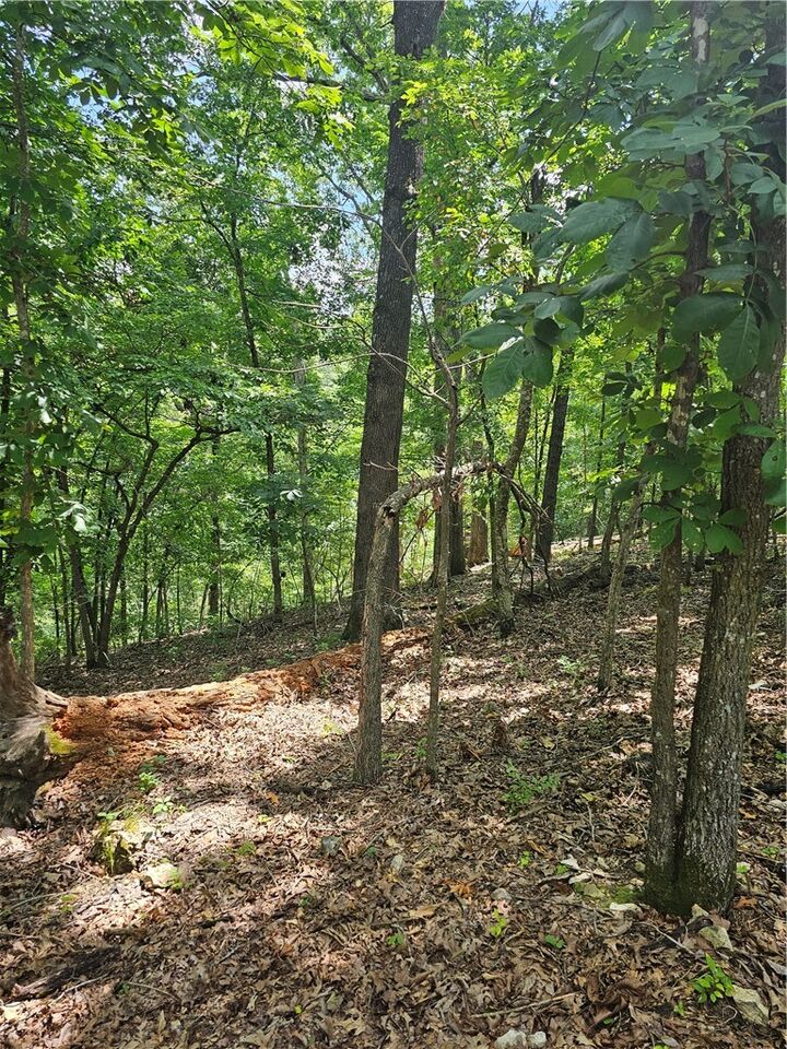 Property Photo:  Blueberry Lane  AR 72745 