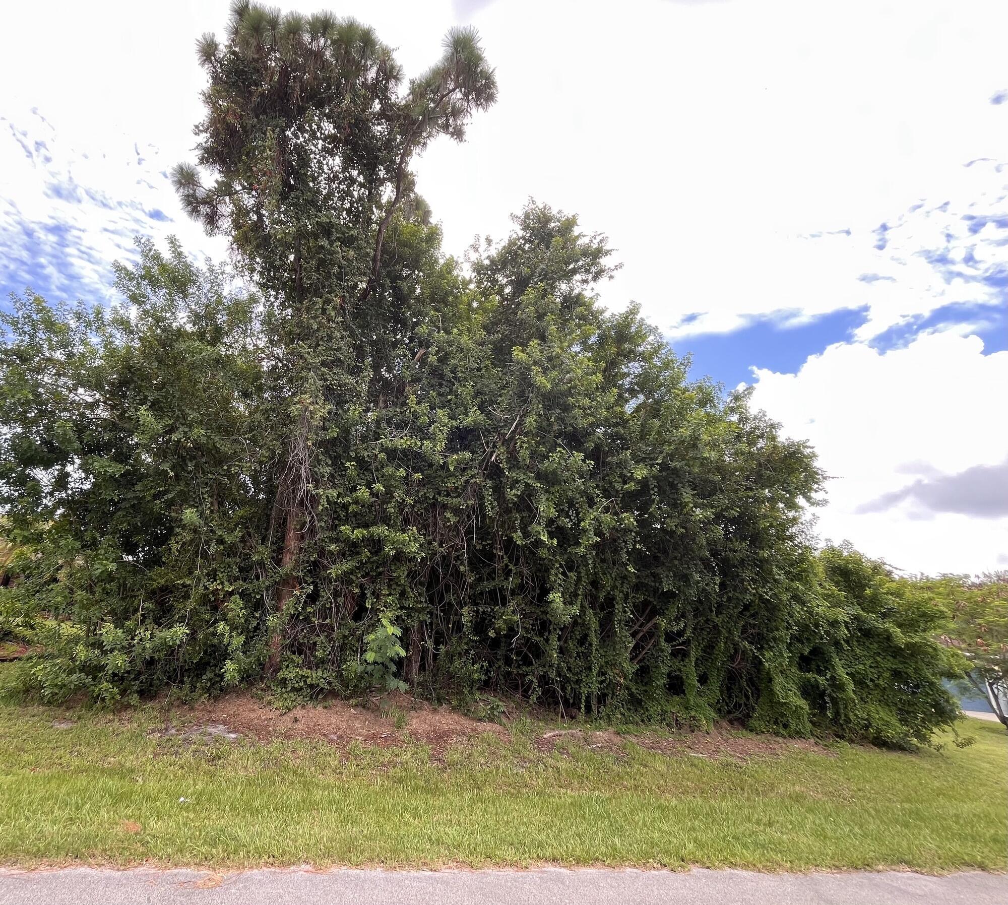 Property Photo:  409 Ash Street  FL 32958 