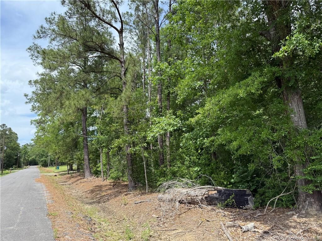 Property Photo: 0 Lisa Drive LA 70668