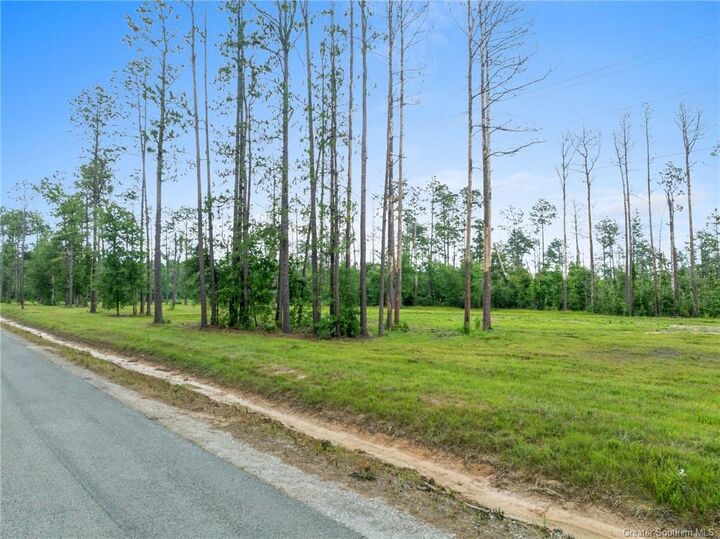 Property Photo:  0 Duke Hollingsworth Road  LA 70657 