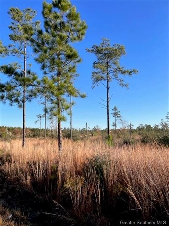 Property Photo: Pilgrim Rest Road LA 70633