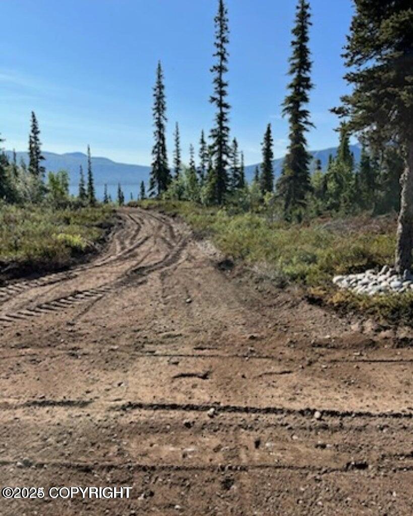 Property Photo: L6 B9 Keyes Point Lake Clark AK 99640