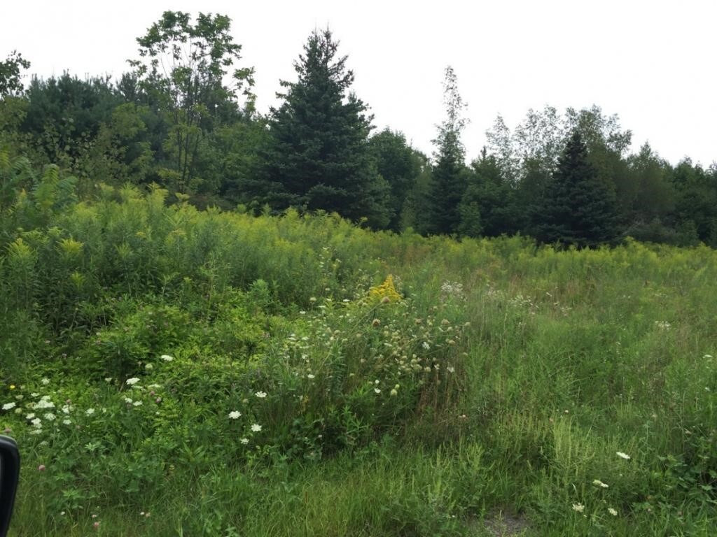 139 Saxby Road  Windsor NY 13865 photo