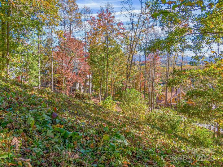 Property Photo: 17 Denali Drive NC 28806