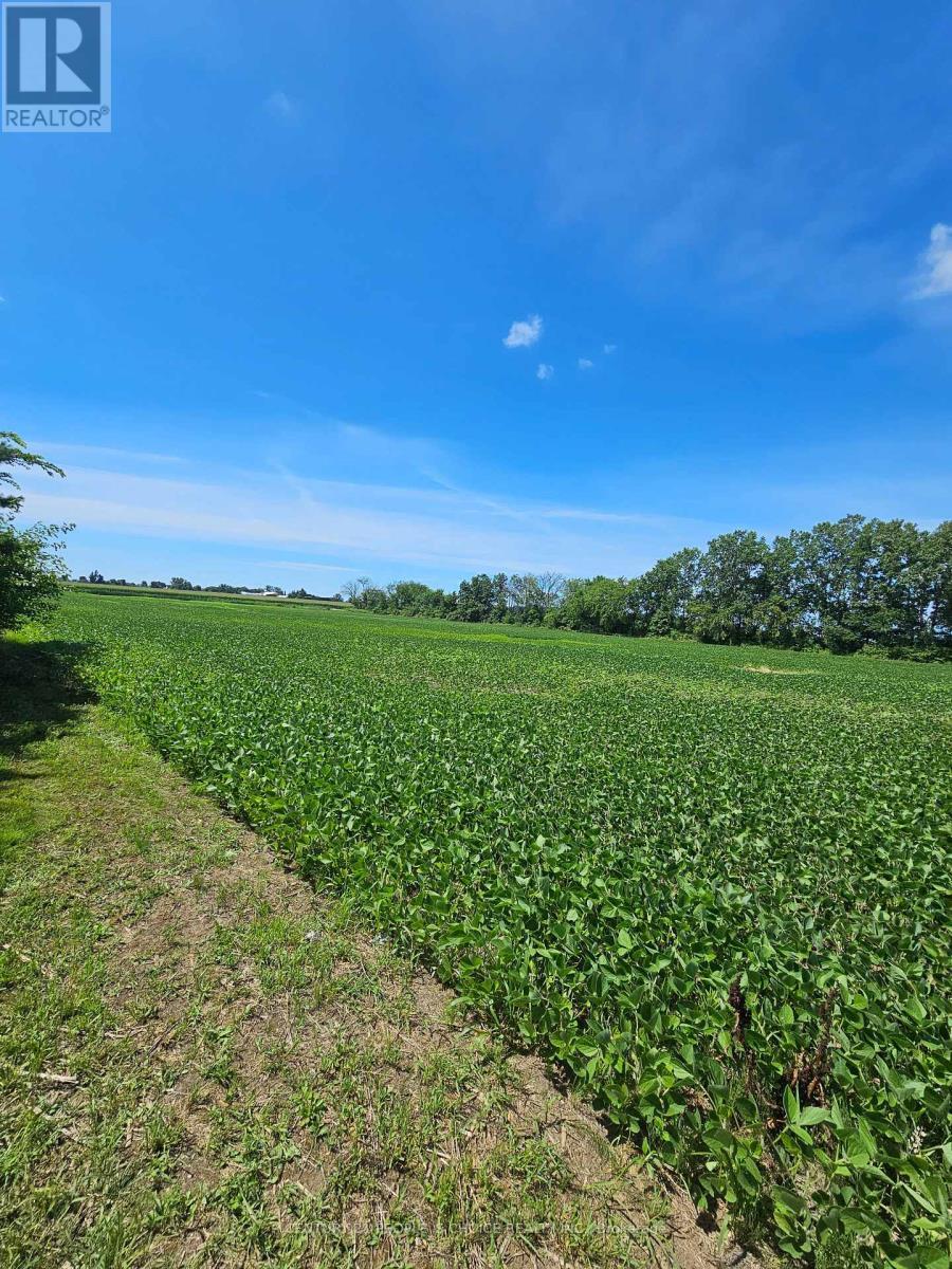 Property Photo:  3670 3rd Concession Road  ON N0R 1G0 