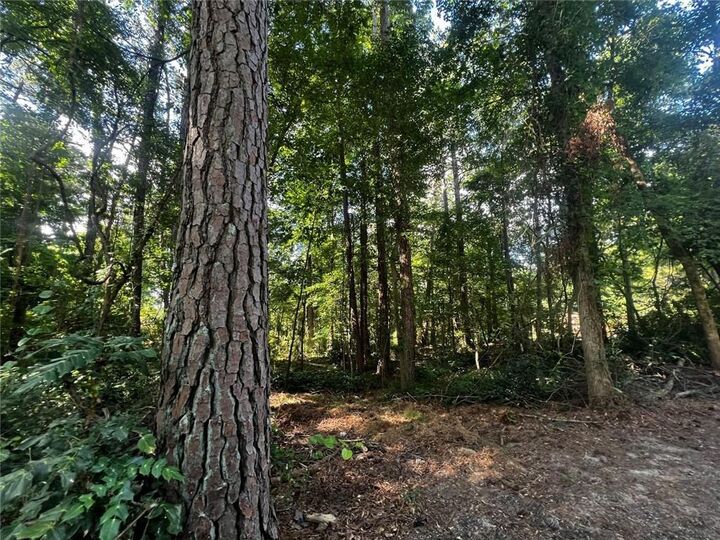 Property Photo:  4074 Panola Road  GA 30038 