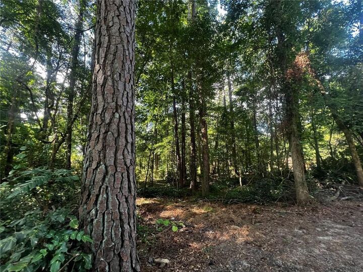 Property Photo:  4074 Panola Road  GA 30038