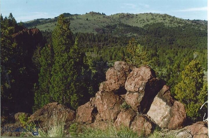 Property Photo:  Tbd Lookout Trail  MT 59701 