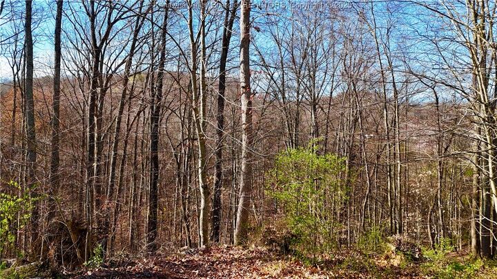 Property Photo:  0 Kanawha River Hills  WV 25177 
