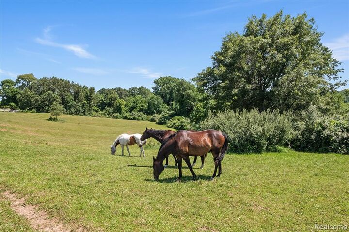Property Photo:  5280 Hosner Road  MI 48370 1004 