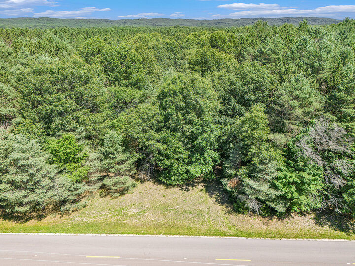 Property Photo:  Parcel D 52nd Avenue  MI 49436 
