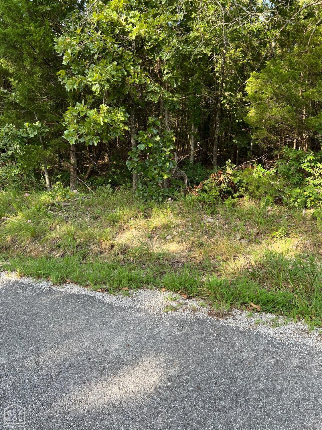 Property Photo: 1220 Cedar Lake Drive AR 72512