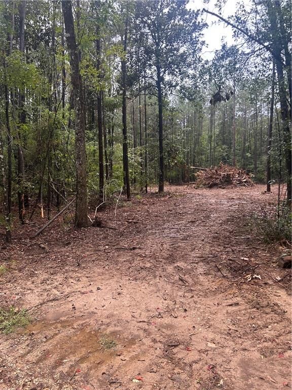 Property Photo:  South Bennett Road  LA 70446 