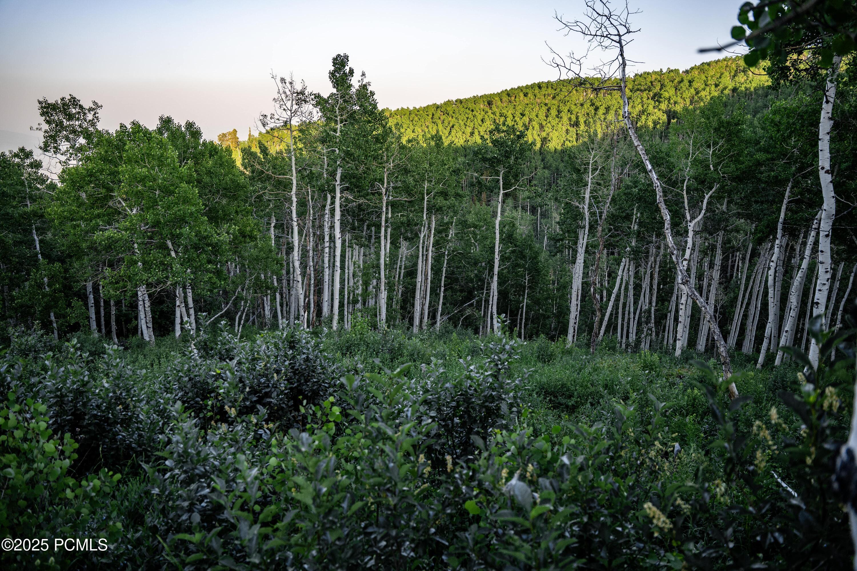 Property Photo: 2132 S Aspen Ridge Ridge UT 84017
