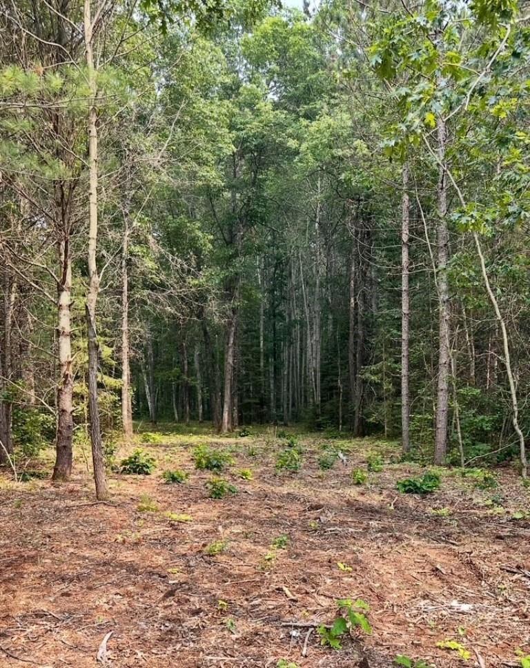 2.5 Acres County Road Y  Tomahawk WI 54487 photo