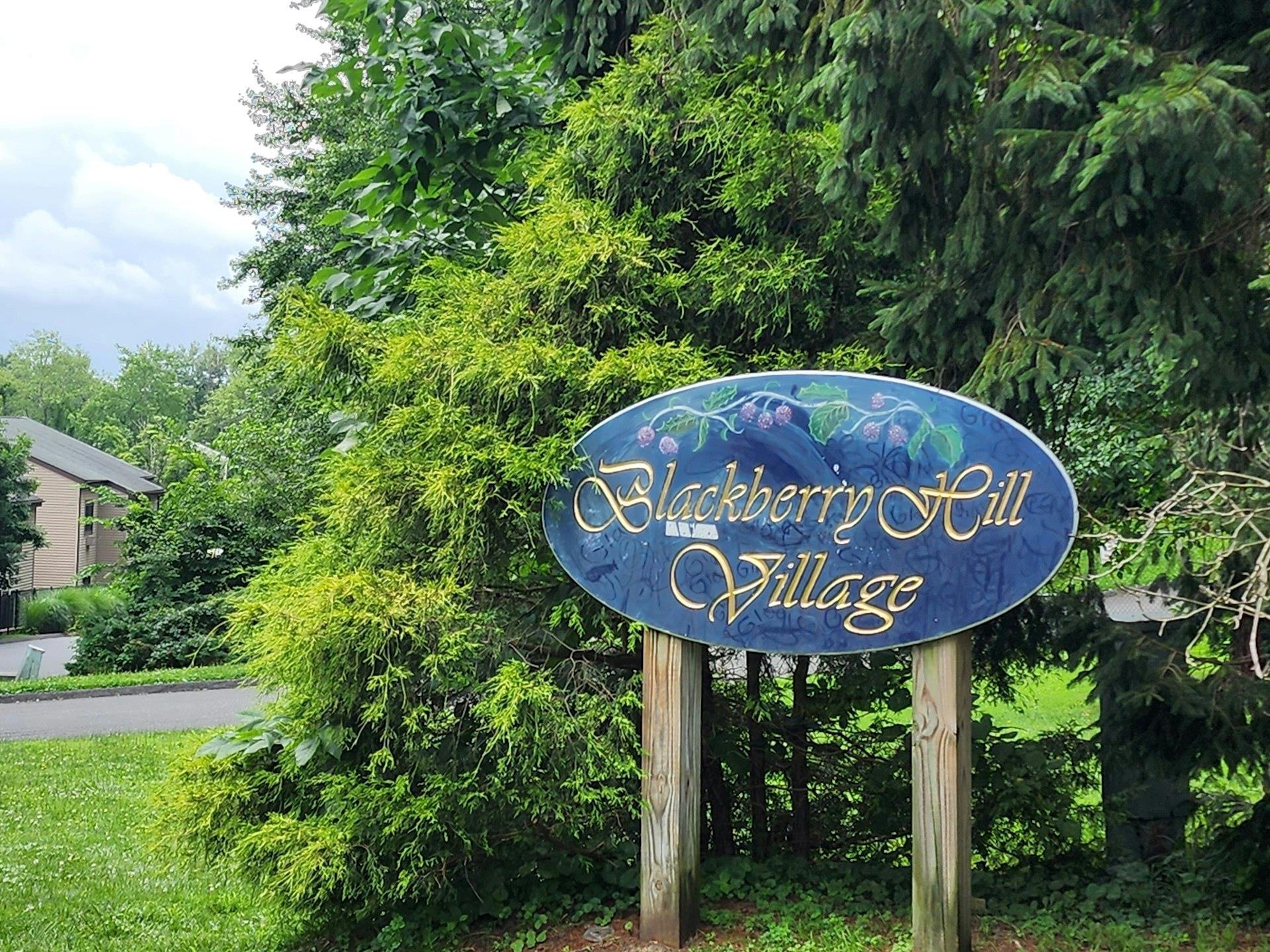 Property Photo: 1203 Village Drive NY 10509
