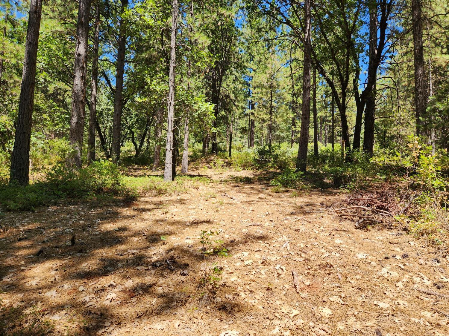 Property Photo: 10938 Cole Way CA 95945