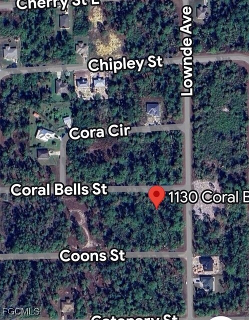 Property Photo: 1130 Coral Bells Street E FL 33974