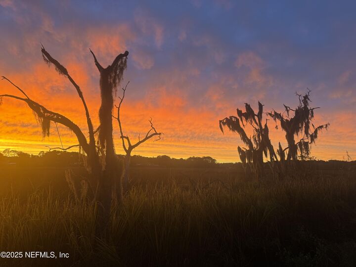 Property Photo: 2959 Marsh Elder Drive S FL 32226