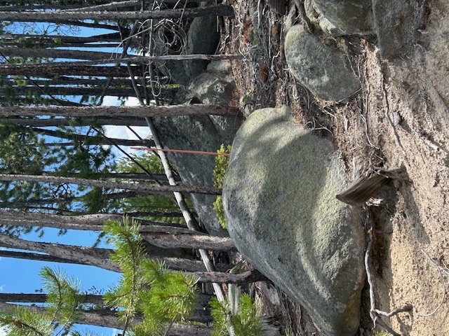 Property Photo: 269 Boulder Chief Road MT 59631