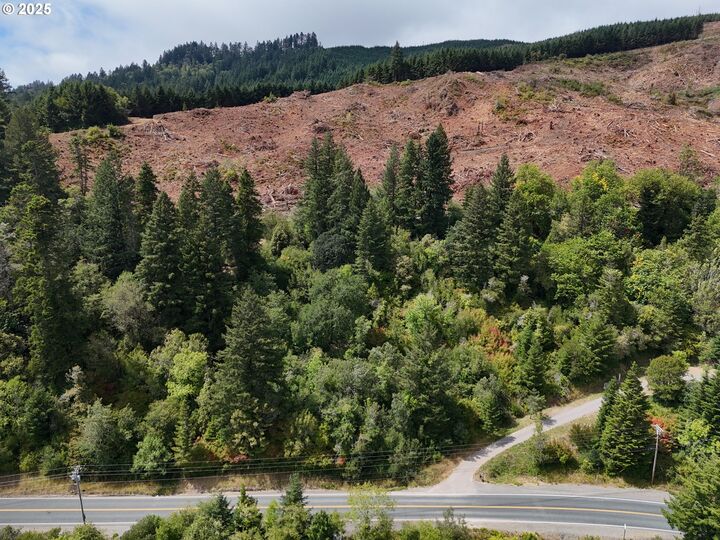Property Photo:  0000 N Bank Chetco  OR 97415 