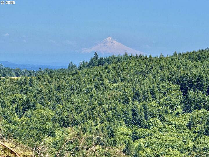 Property Photo: 11896 SW Dupee Valley Rd OR 97128