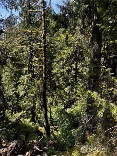 0  Hoff Circle  Everson WA 98247 photo
