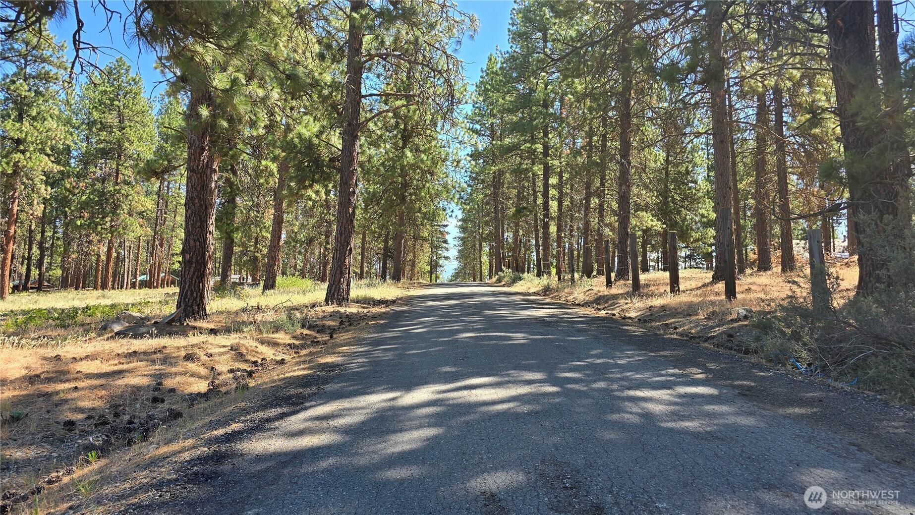 Property Photo:  341  Teanaway Ridge Way  WA 98922 