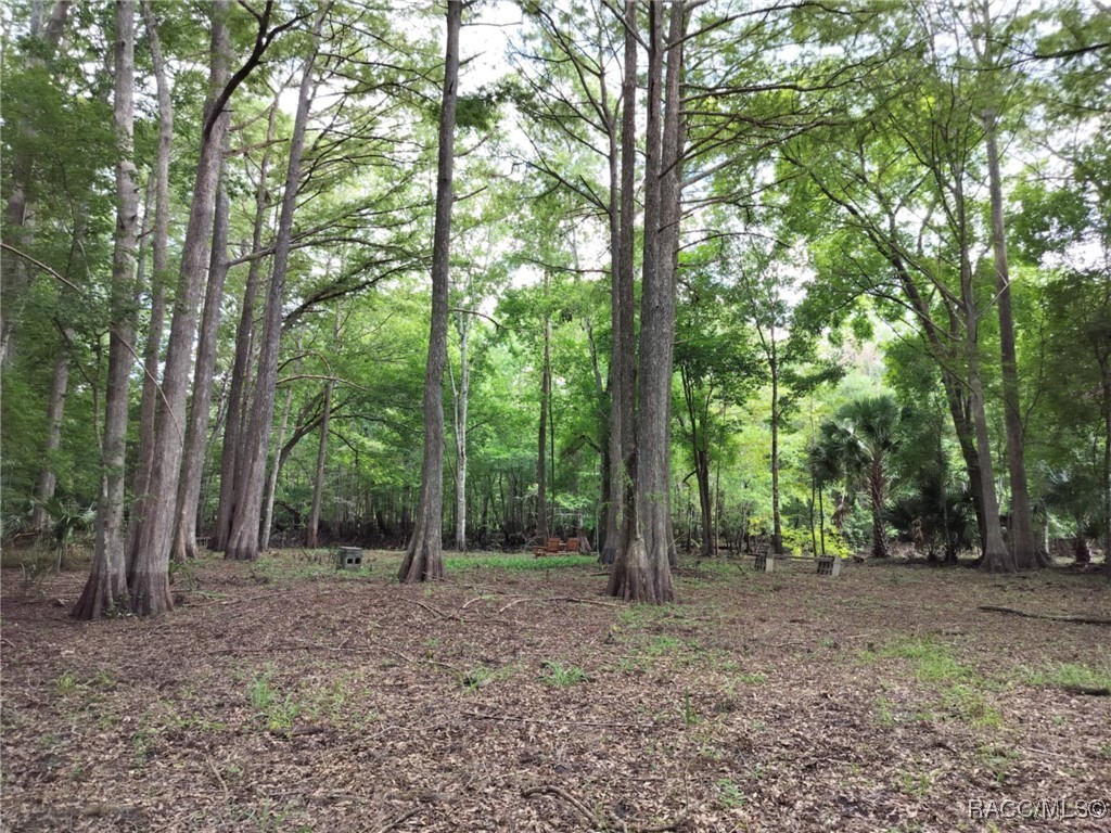 Property Photo:  523 S Tuck Point  FL 34450 