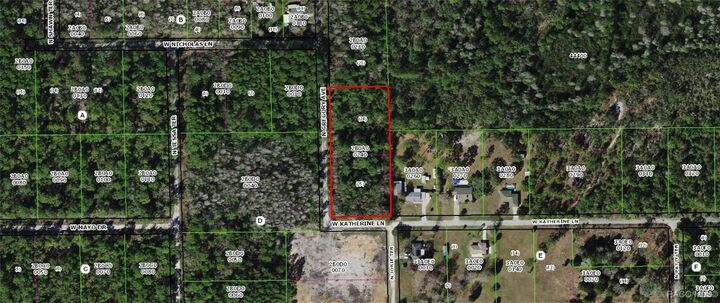 Property Photo: 1251 N Gregory Avenue FL 34429