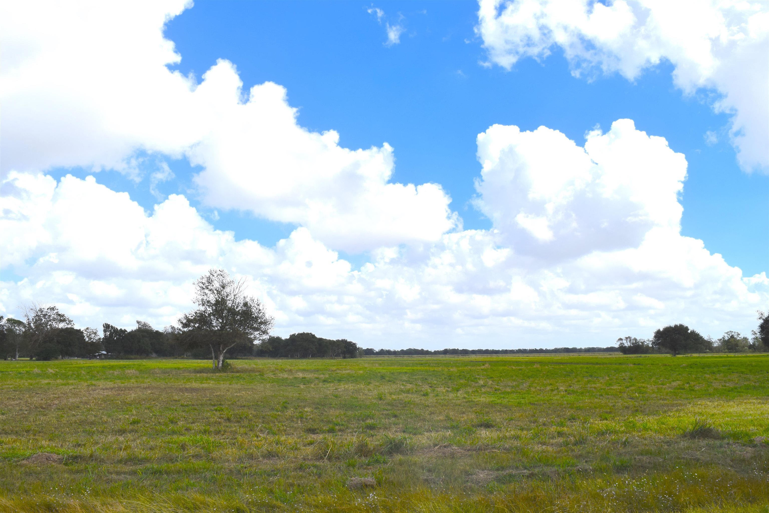 Property Photo:  16335 Wise Rd  TX 77622 