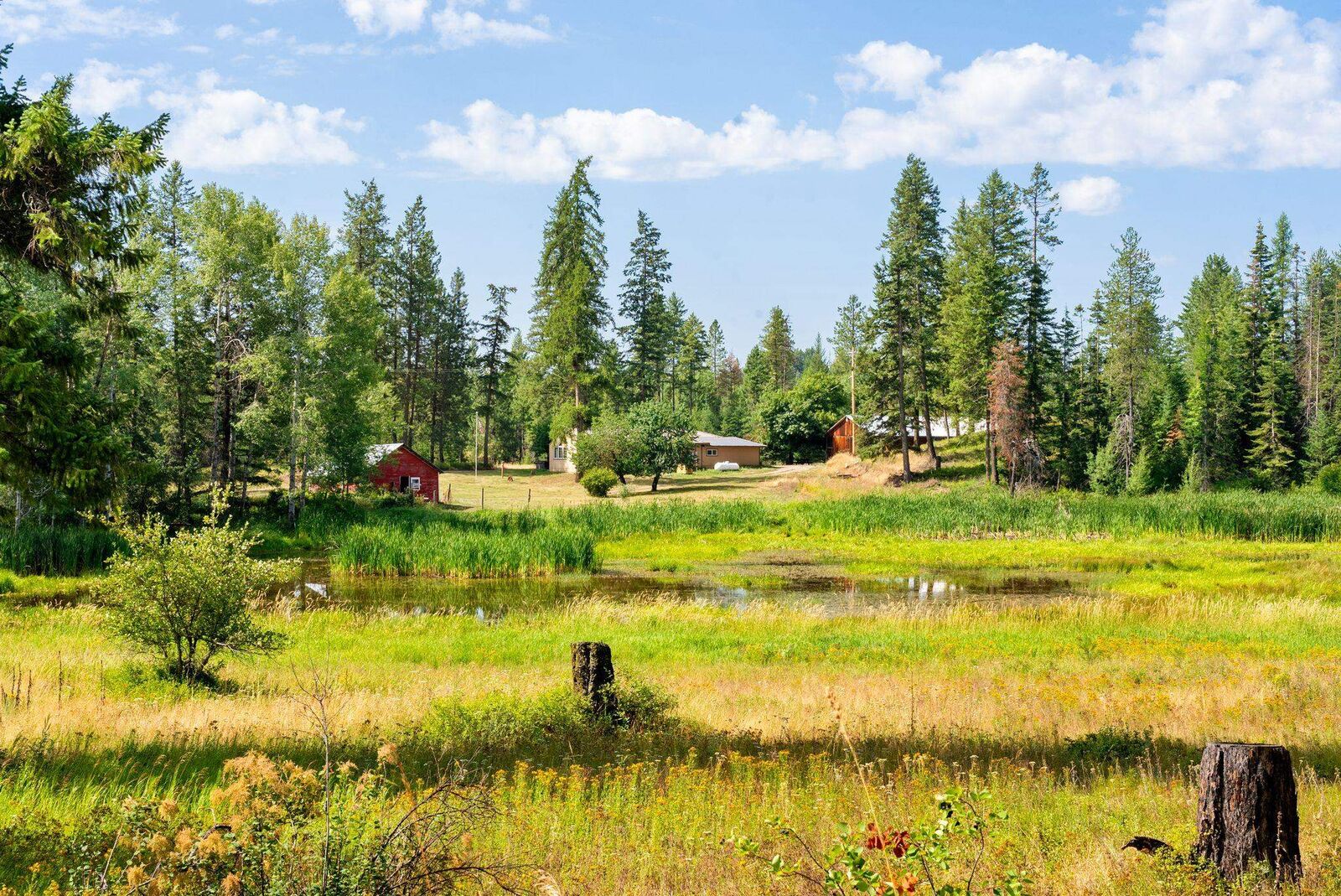 Property Photo:  4395 C Hesseltine Rd  WA 99181 