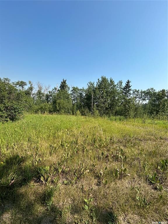 Property Photo:  Rural Address  SK S0A 1W0 