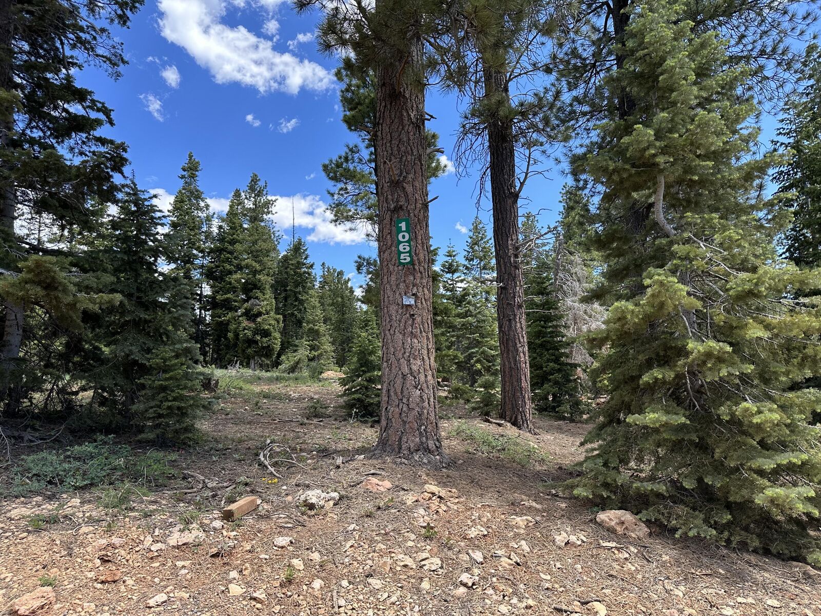 Property Photo: 1065 Redwood Rd UT 84762