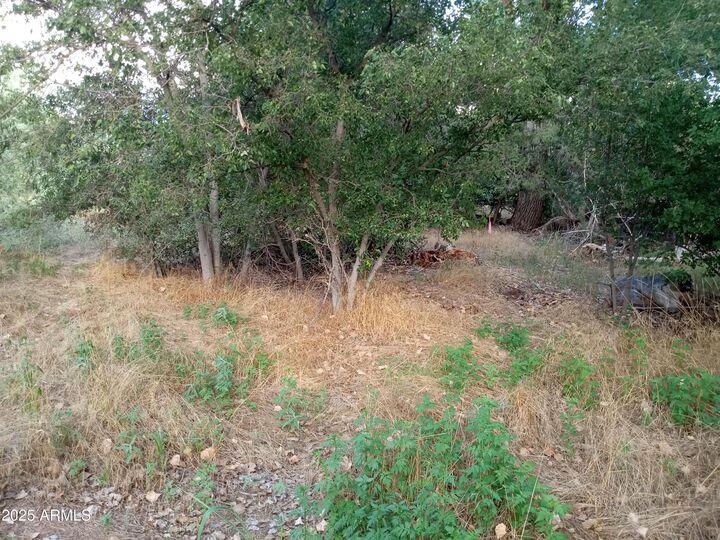 Property Photo: 3077 S Wagner Drive 529 AZ 86322