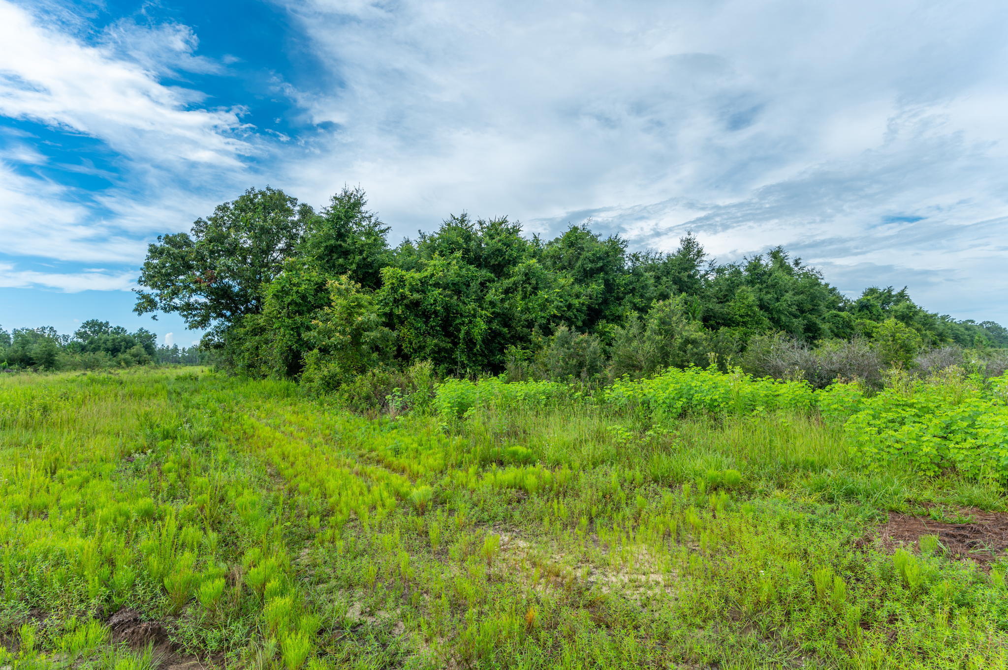 Property Photo: F-2 Long Branch Farm Road FL 32531