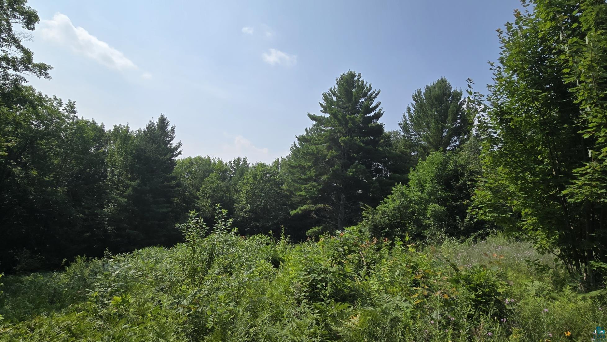 Property Photo:  35365 Old Orchard Ln  WI 54814 