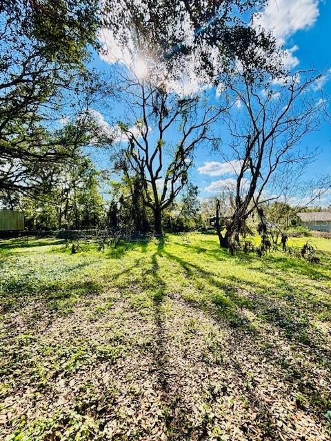 Property Photo: 35441 Francine Drive FL 33541