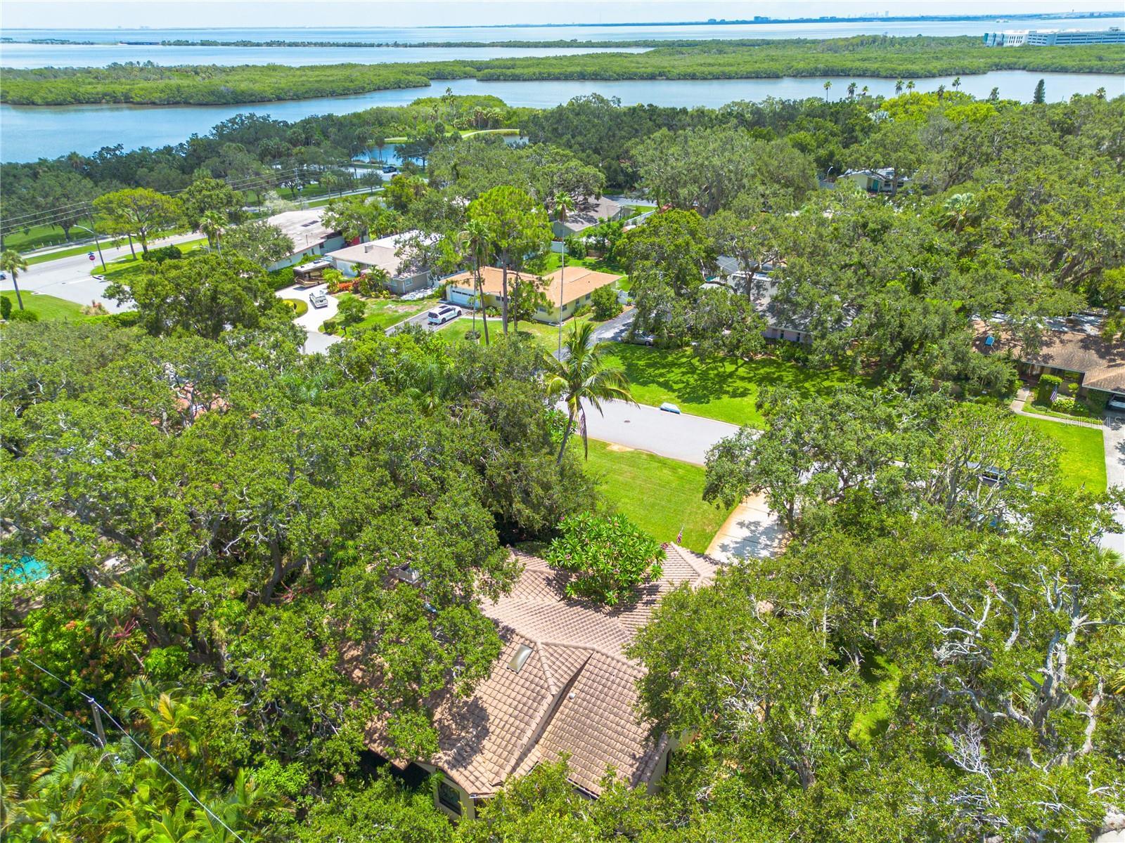 Property Photo: 3330 San Pedro Street FL 33759